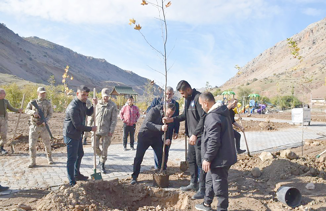 KOZLUK’TA AĞAÇLANDIRMA ÇALIŞMALARI BAŞLADI