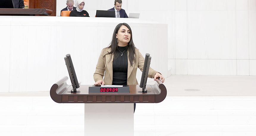 ODUNCU, BATMAN’A DAİR SORUNLARI MECLİSE TAŞIDI