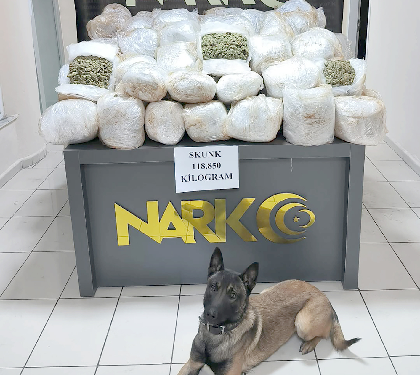 İKA NARKOTİK KÖPEĞİ 118 KİLO SHUNK YAKALADI