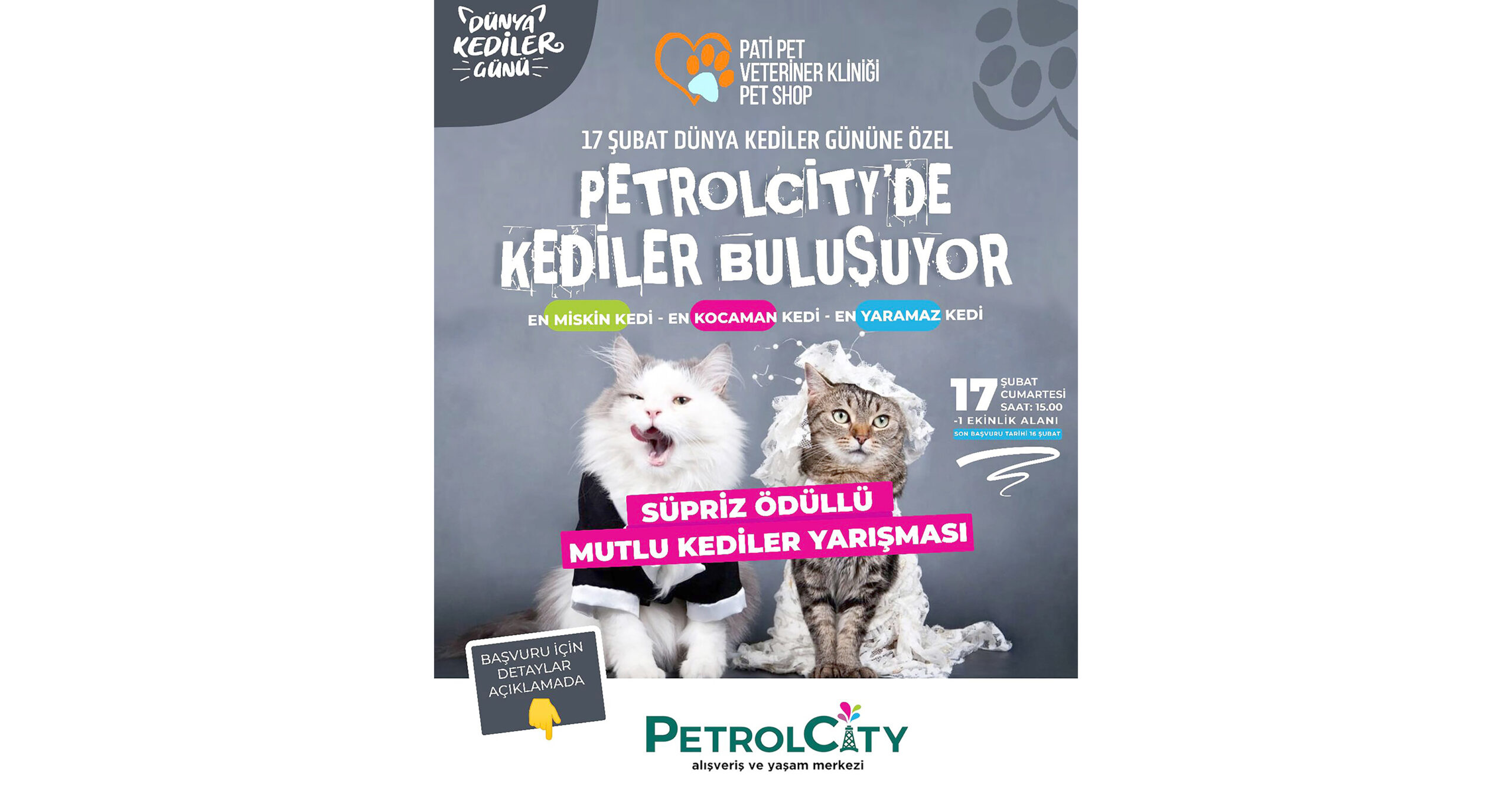 ‘EN GÜZEL KEDİ’ YARIŞMASI DÜZENLENİYOR