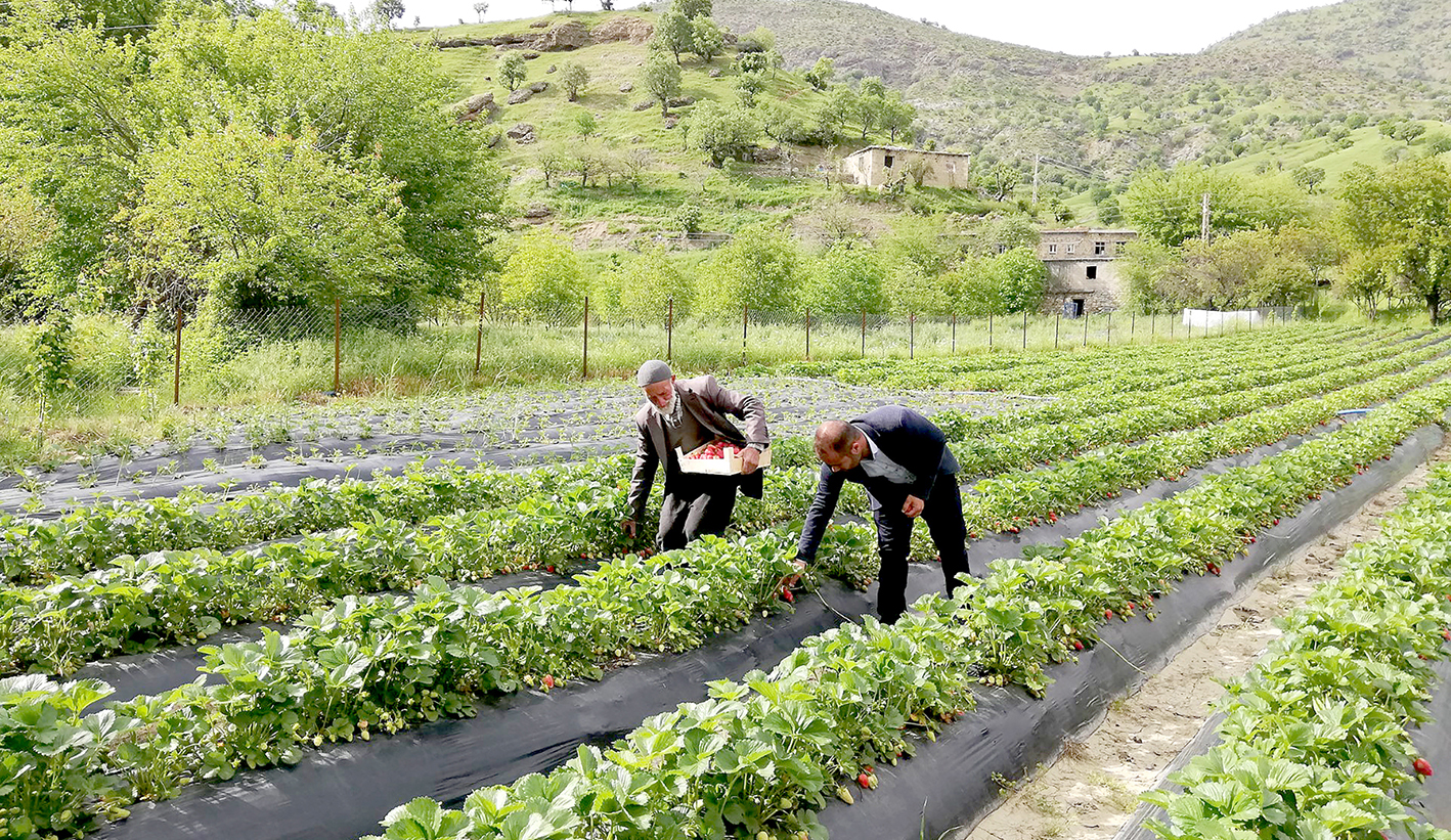 ÇKS GÜNCELLEME BAŞVURULARI BAŞLADI