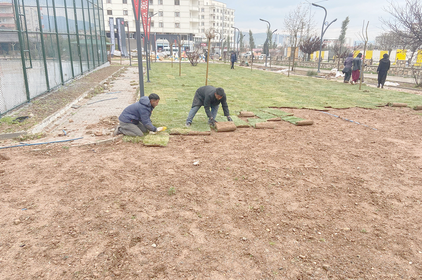 ÇİMLENDİRME ÇALIŞMALARI BAŞLADI