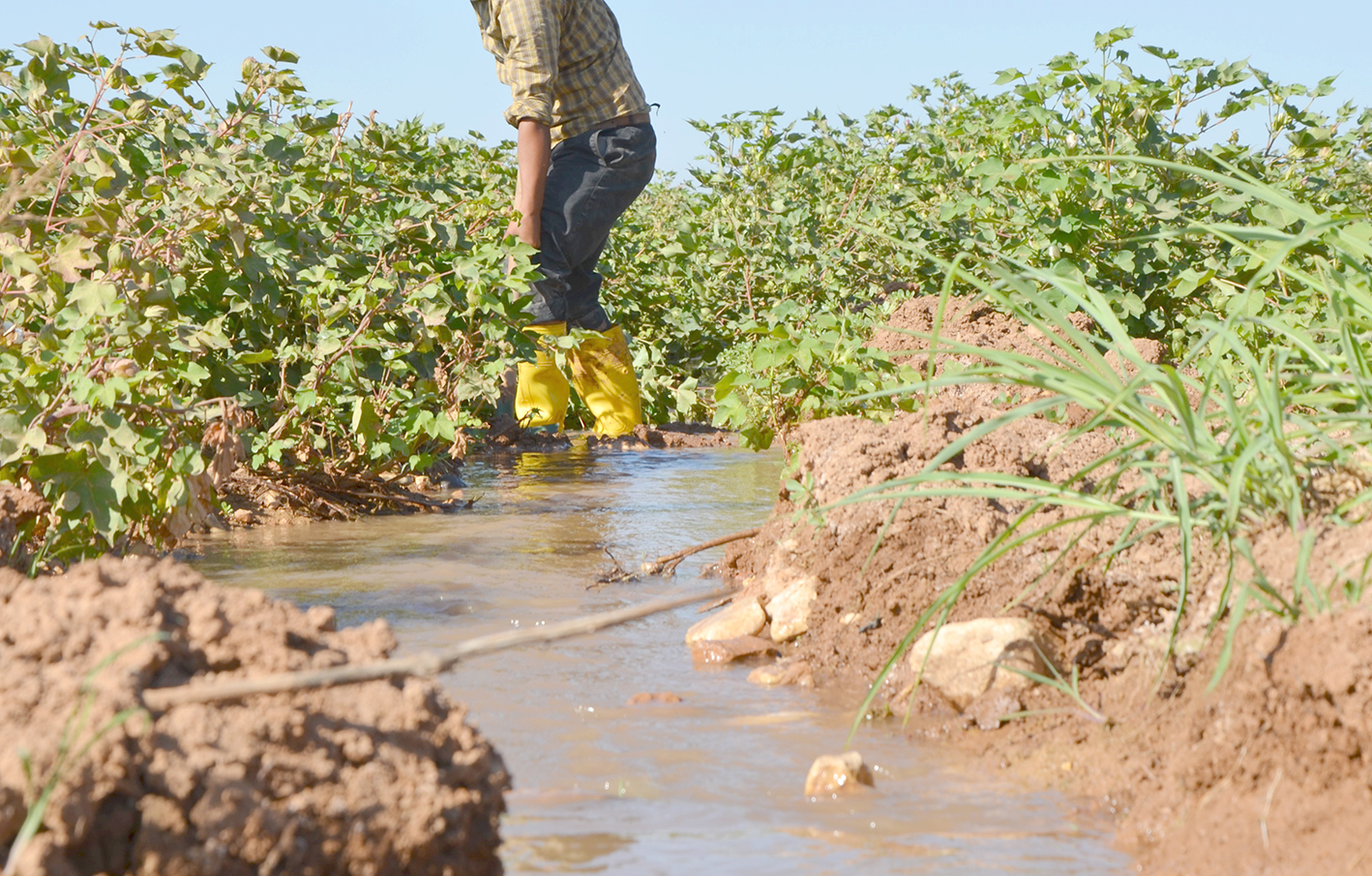 DİCLE ELEKTRİK BİR KEZ DAHA UYARDI