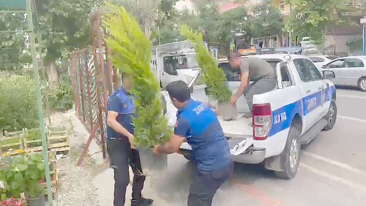 AĞAÇ KESEN ESNAFA 10 AĞAÇ HİBE CEZASI