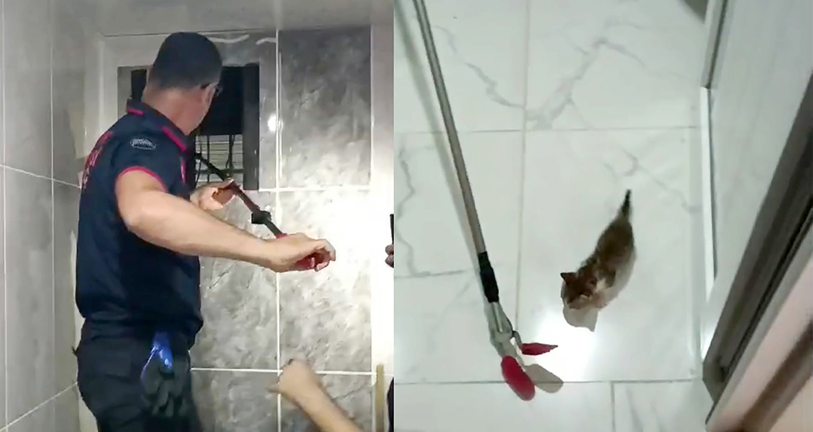 İTFAİYE EKİPLERİ YAVRU KEDİYİ KURTARDI