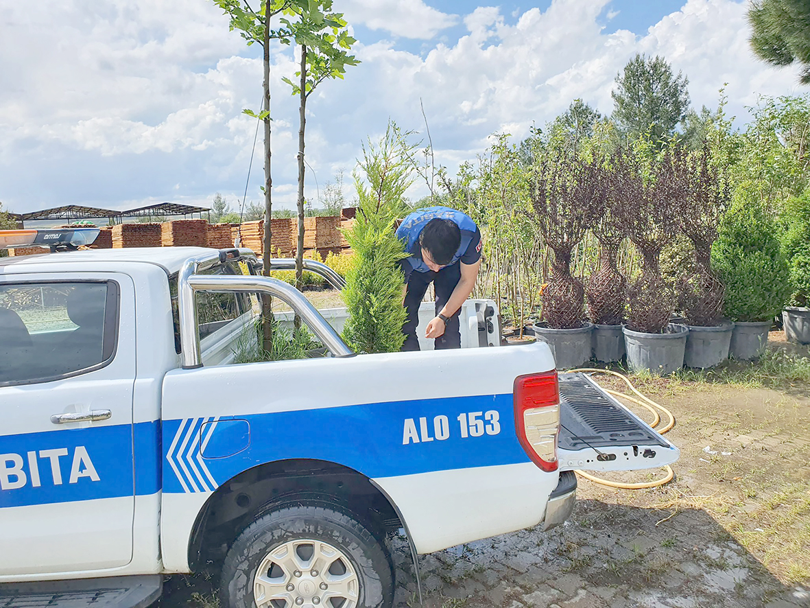 AĞACI KESENE EMSAL NİTELİĞİNDE CEZA