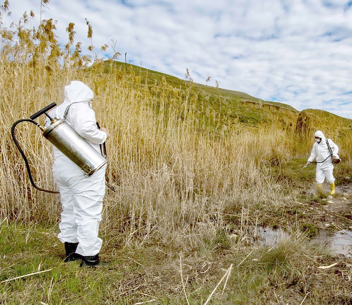 113 KÖYDE İLAÇLAMA YAPILDI