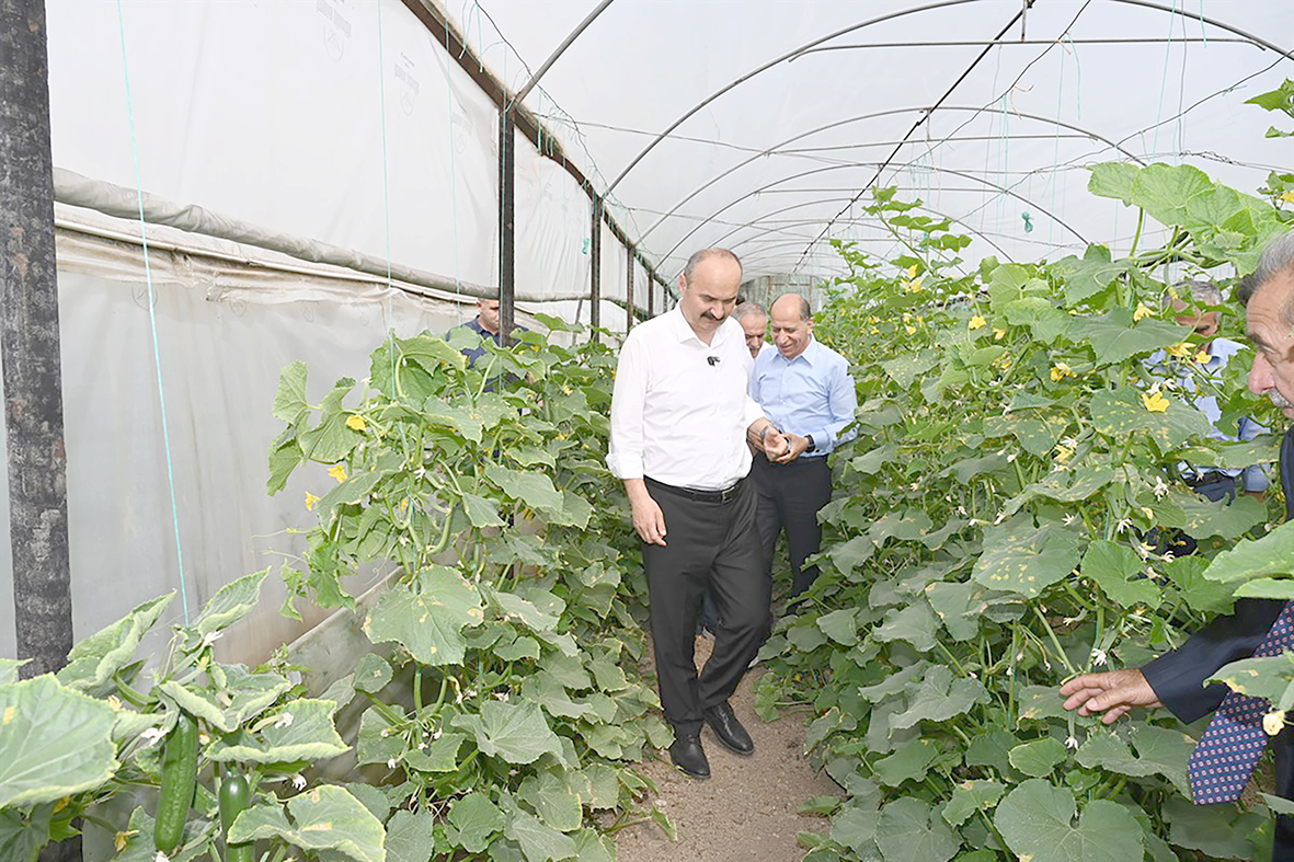 “İKİ ADET SERA KENT KURACAĞIZ”