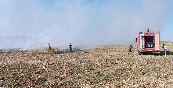 ANIZ YAKMAK YASAK VE CEZASI AĞIR!