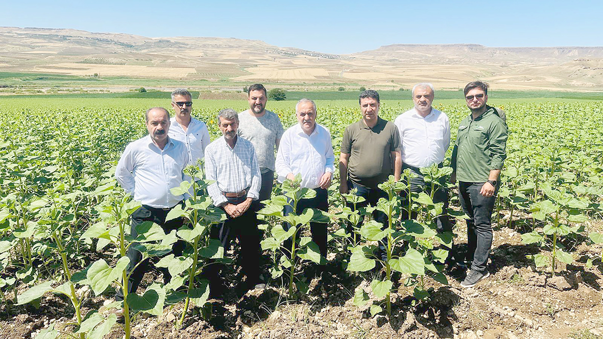 AYÇİÇEĞİ TARLASINDA İNCELEMELERDE BULUNDULAR