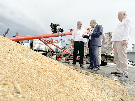 BAŞKAN ŞAHİN’DEN YAĞMURDA ZARAR GÖREN BUĞDAYCILARA ZİYARET