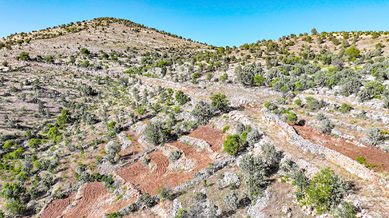 KOÇAK KÖYÜNE TARLA YOLU