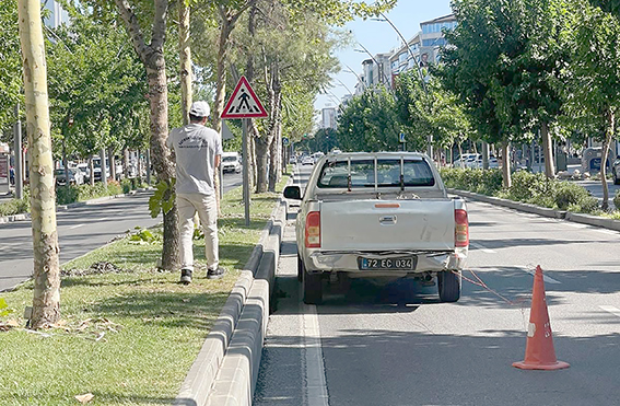 AĞAÇLARA ZARAR VEREN KABLOLAR TOPLANDI