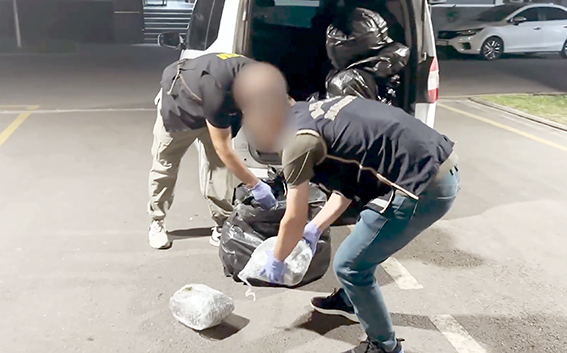 81 KİLO SKUNK ELE GEÇİRİLDİ