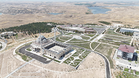 KAMPÜSE 5 BİN FİDAN DİKİLECEK