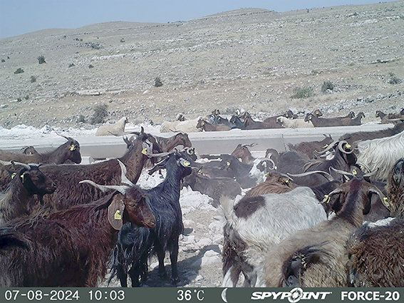 BİYOLOJİK ÇEŞİTLİLİK GÖRÜNTÜLENMEYE BAŞLANDI