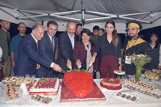 5 İLÇEDE FESTİVAL YAPILACAK