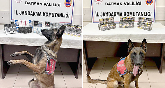 HASANKEYF’TE KAÇAK SİGARA ELE GEÇİRİLDİ