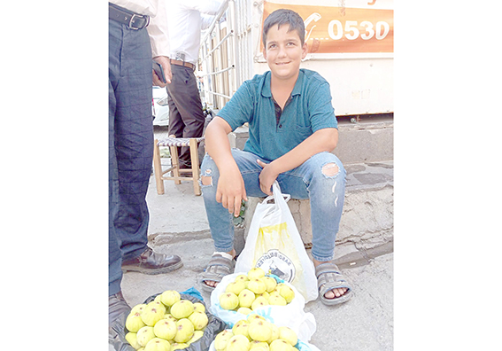 OKUL HARÇLIKLARI İNCİR’DEN