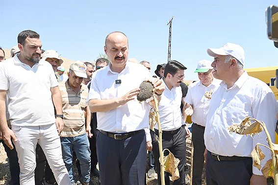 “ALTI TOHUMUN HEPSİ İYİ SONUÇ VERDİ”
