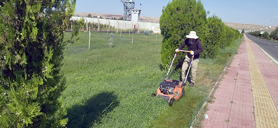 YEŞİL ALANLARA ESTETİK DOKUNUŞ