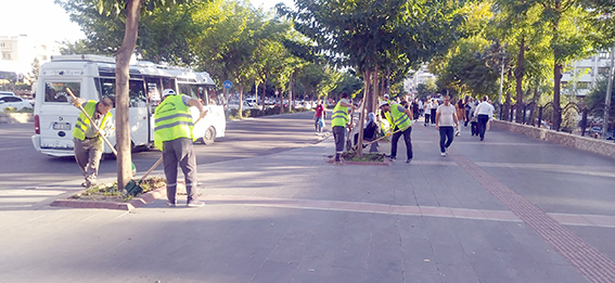 YABANİ OTLAR TEMİZLENİYOR