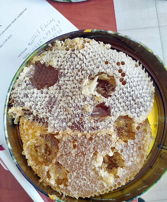 SASON’DA KALİTELİ BAL ÜRETİMİ “KATKI MADDESİ YOK”