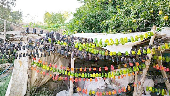 VATANDAŞLARIN KIŞ HAZIRLIĞI BAŞLADI