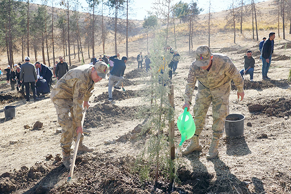 101 FİDAN TOPRAKLA BULUŞTU
