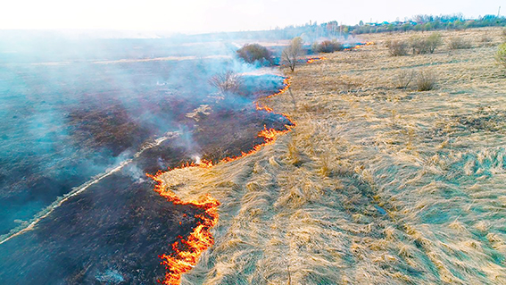 “YANGINLAR FELAKETLERE YOL AÇIYOR”