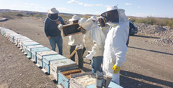 GÜNEY KORE VE NEPAL’DEN BATMAN’A ARICILIK EĞİTİMİ