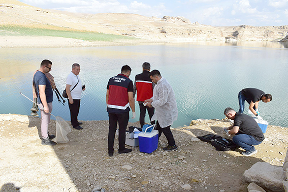 TOPLU BALIK ÖLÜMLERİNİ İNCELEMEK İÇİN UZMAN EKİP SAHADA