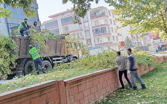 BUDAMA ÇALIŞMALARI BAŞLADI