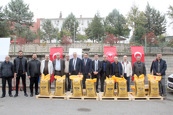 ÇİFTÇİLERE KIRMIZI MERCİMEK TOHUMU DAĞITILDI