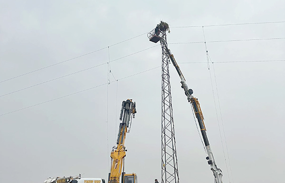 DİCLE ELEKTRİK’TEN DOĞAL YAŞAMA DESTEK