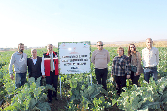 KARNABAHAR, MARUL VE LAHANA HASADI YAPILDI
