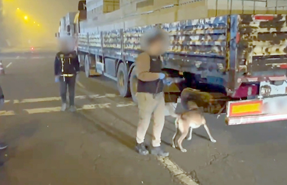 NARKOTİK KÖPEK LİNDA’DAN ZEHİR TACİRLERİNE DARBE!