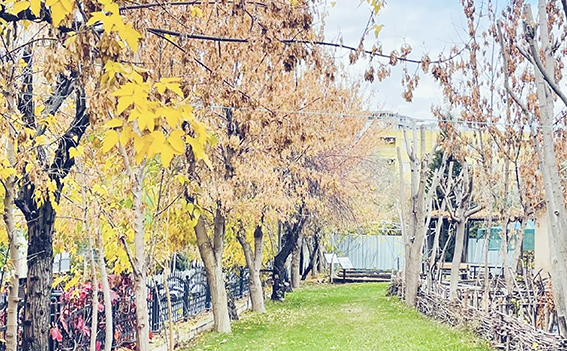 SONBAHARIN GÜZELLİĞİ MÜZEPARK’TA YAŞANIYOR