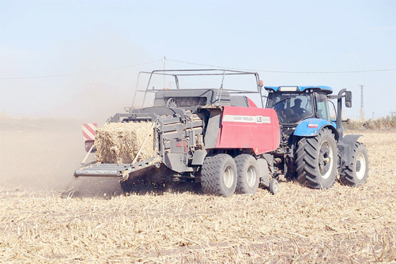 ANIZ DUMANLARI ARTIK YÜKSELMEYECEK