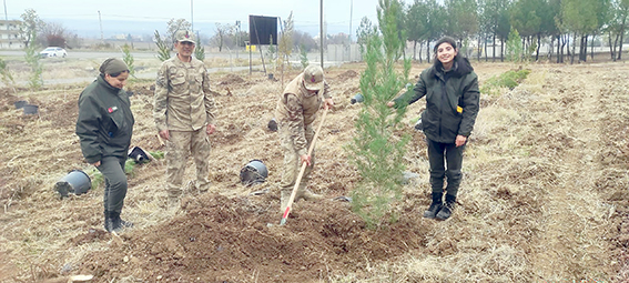 HATIRA ORMANI’NA 500 FİDAN DİKİLDİ
