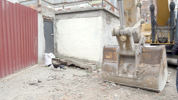 KEDİ İÇİN YIKIM BİR SÜRE DURDU