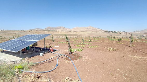 ÇİFTÇİLERE, 80 MİLYON HİBE DESTEĞİ VERİLDİ 