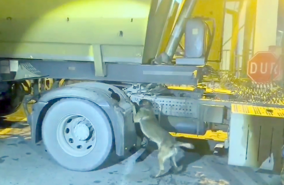 TIRDA 3 KİLO METAMFETAMİN ELE GEÇİRİLDİ