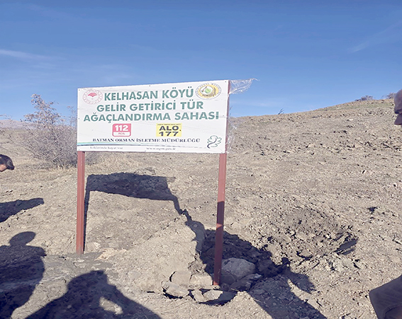 KELHASAN KÖYÜNDE AĞAÇLANDIRMA PROJESİ TAMAMLANDI