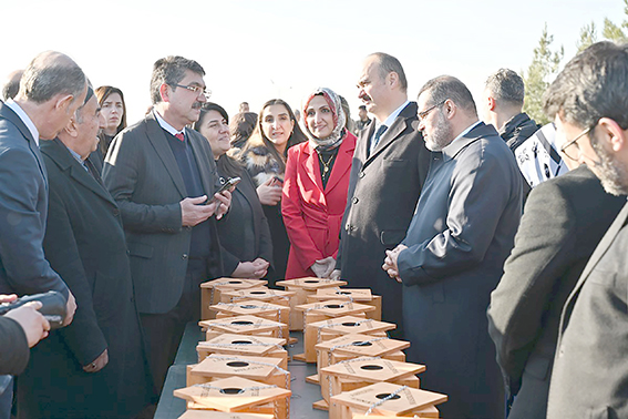 KUŞ YUVALARI AĞAÇLARA ASILDI