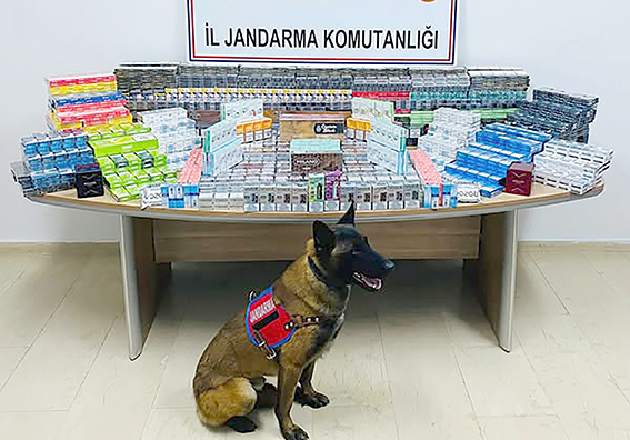 KAÇAK SİGARA OPERASYONU