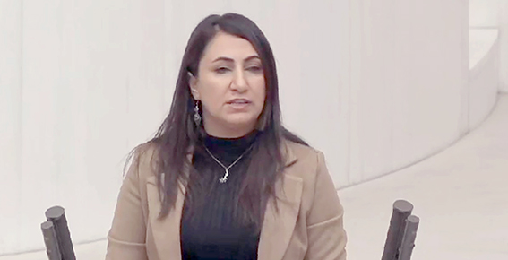 ECZACILARIN SORUNLARI MECLİSE TAŞINDI