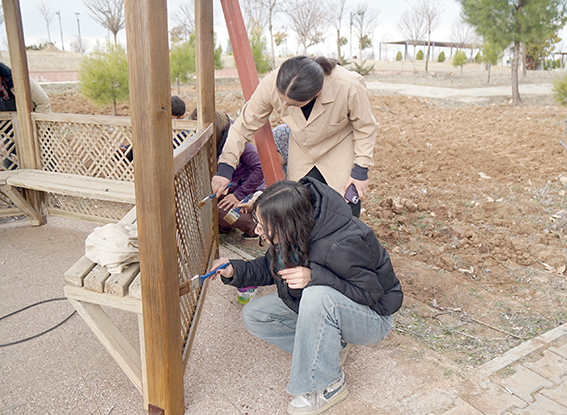 KAMPÜSTEKİ KAMELYALARA BAKIM