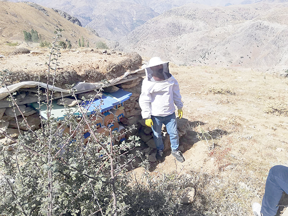 KURAKLIK ARICILARI DA VURDU