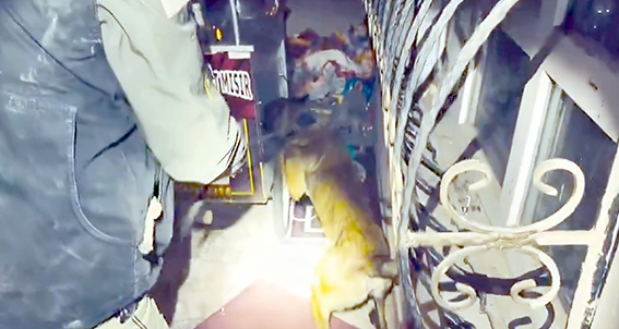 MAİLO’DAN KAÇIŞ YOK!